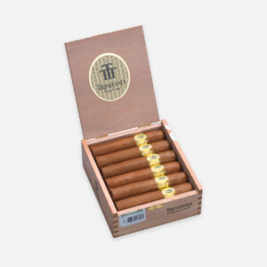 سيجار ترينيداد في صندوق خشبي أنيق مع أشرطة ذهبية.