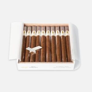 سيجار دافيدوف وينستون تشرشل، عرض أنيق وراقٍ.