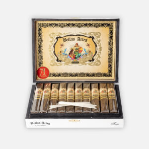 سيجار بيلاس أرتيس إيه جيه فيرنانديز، عرض أنيق مع تصميم صندوق معقد.