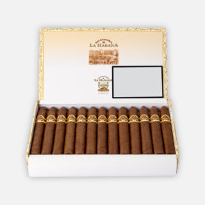 سيجار سان كريستوبال دي لا هابانا الفاخر في علبة أنيقة.
