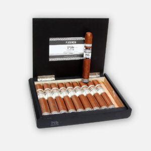 سيجار بلاسينسيا 146 كوسيتشا في علبة سوداء أنيقة مفتوحة.