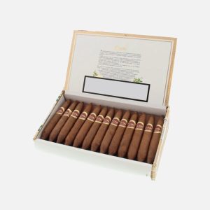 علبة سيجار كوابا، عرض حرفي فاخر.